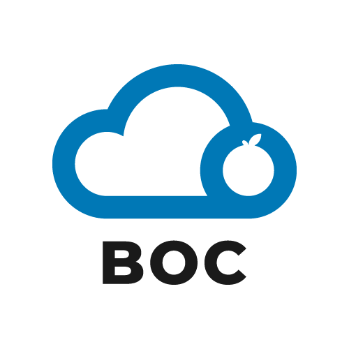 Logo Beyond Ordinary Cloud